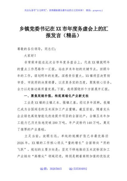 乡镇党委书记在XX市年度务虚会上的汇报发言（精品）