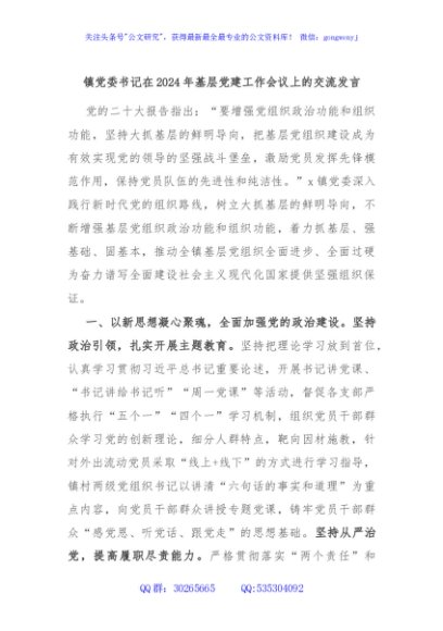 镇党委书记在2024年基层党建工作会议上的交流发言