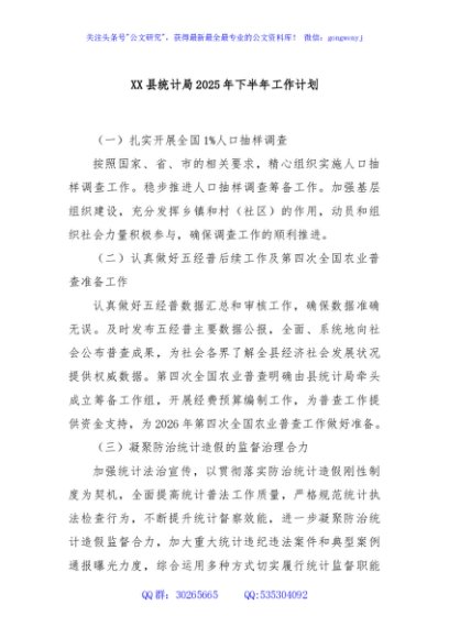 XX县统计局2025年下半年工作计划