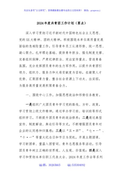 2024年度共青团工作计划（要点）