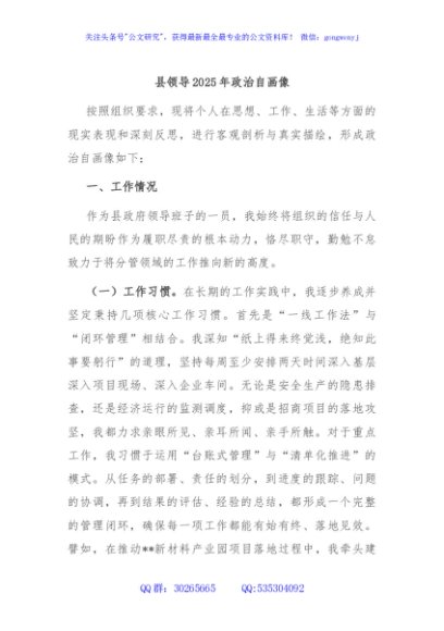 县领导2025年政治自画像