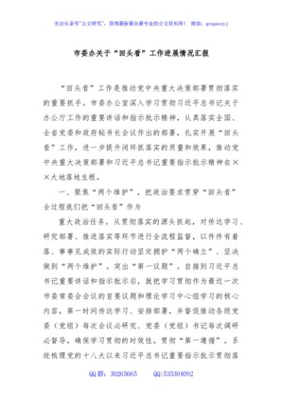 市委办关于“回头看”工作进展情况汇报