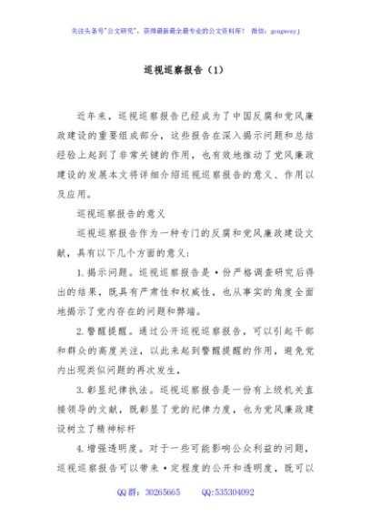 巡视巡察报告（1）