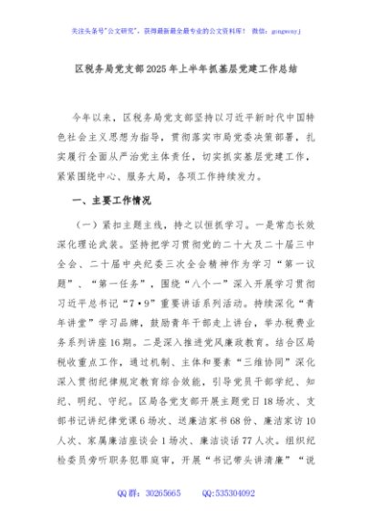 区税务局党支部2025年上半年抓基层党建工作总结