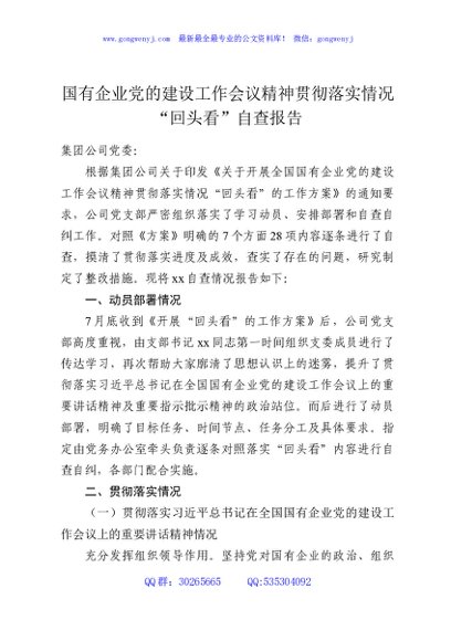 国有企业党的建设工作会议精神贯彻落实情况“回头看”自查报告