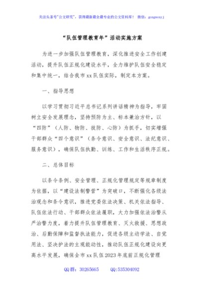 “队伍管理教育年”活动实施方案