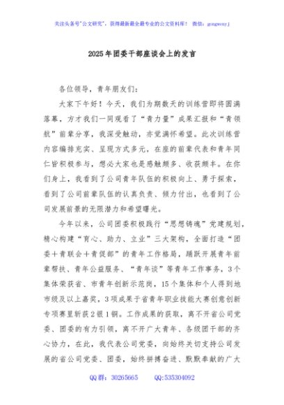 2025年团委干部座谈会上的发言