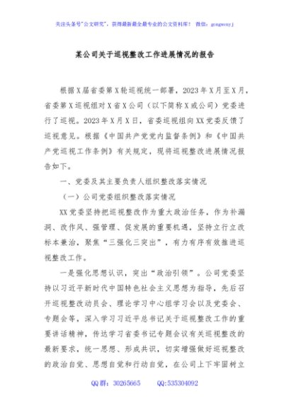 某公司关于巡视整改工作进展情况的报告