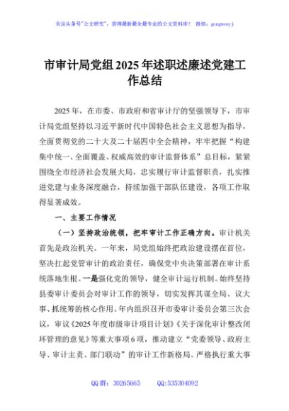 市审计局党组2025年述职述廉述党建工作总结
