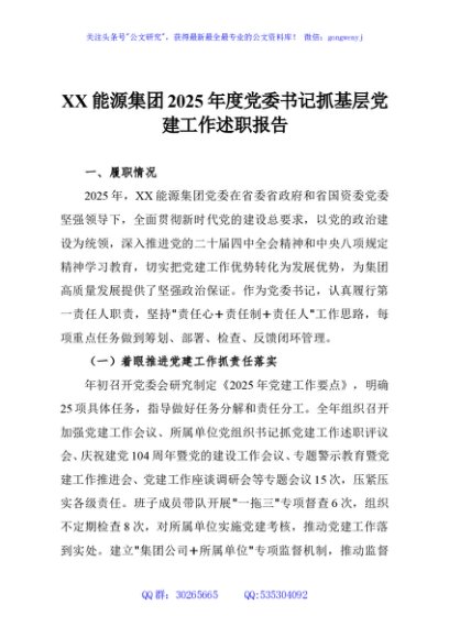 XX能源集团2025年度党委书记抓基层党建工作述职报告