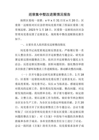 应急系统巡察集中整改进展情况总结报告9300字