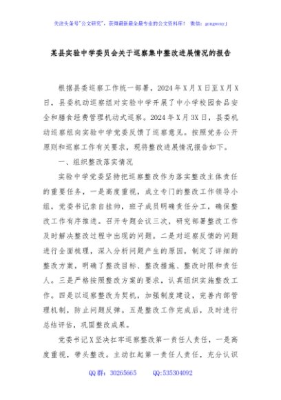 某县实验中学委员会关于巡察集中整改进展情况的报告