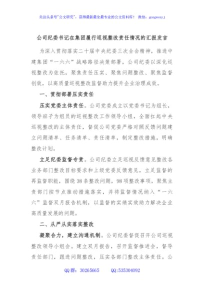 公司纪委书记在集团履行巡视整改责任情况的汇报发言