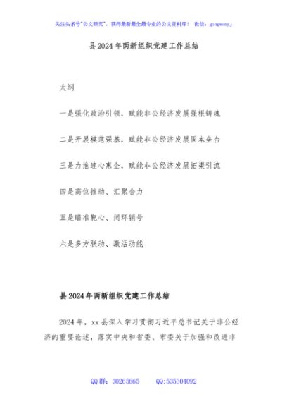 县2024年两新组织党建工作总结