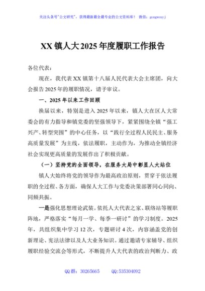 XX镇人大2025年度履职工作报告