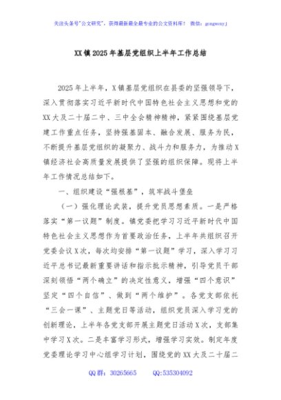 XX镇2025年基层党组织上半年工作总结