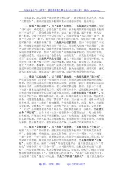 党建引领乡村振兴经验交流材料