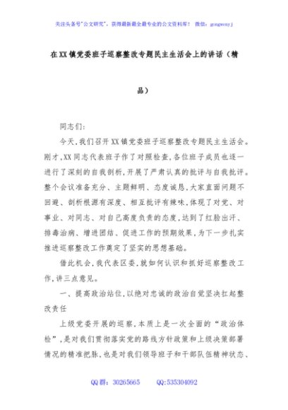 在XX镇党委班子巡察整改专题民主生活会上的讲话（精品）