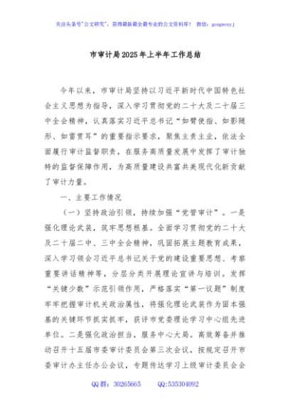 市审计局2025年上半年工作总结