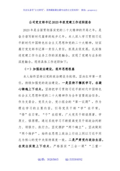 公司党支部书记2023年抓党建工作述职报告