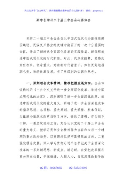 副市长学习二十届三中全会心得体会