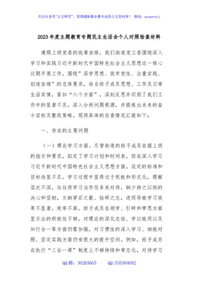 2023年度主题教育专题民主生活会个人对照检查材料 (2)