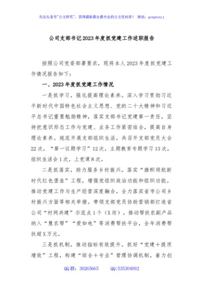 公司支部书记2023年度抓党建工作述职报告