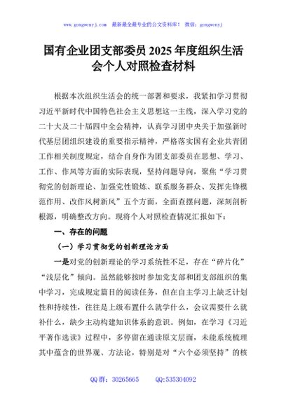 国有企业团支部委员2025年度组织生活会个人对照检查材料