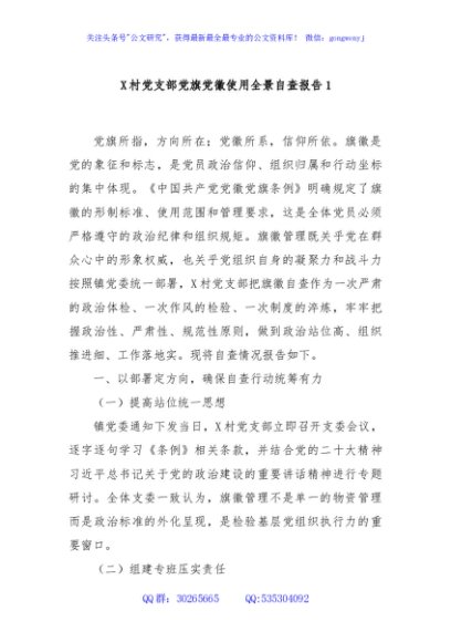 X村党支部党旗党徽使用全景自查报告1