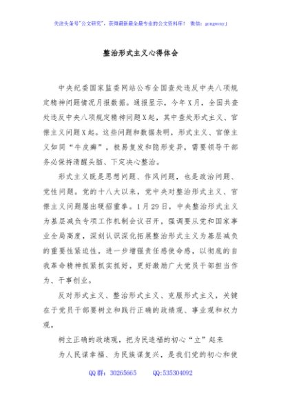 整治形式主义心得体会