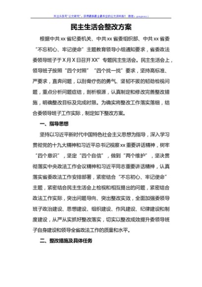 民主生活会整改方案