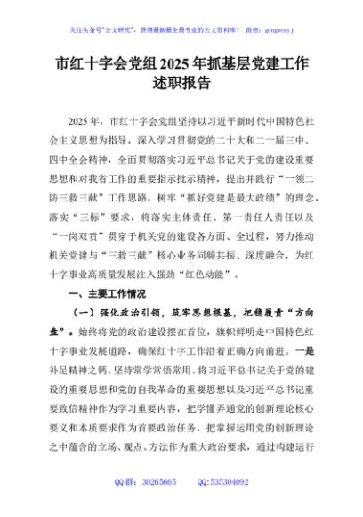 市红十字会党组2025年抓基层党建工作述职报告