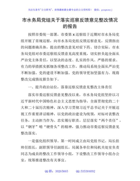 市水务局系统落实巡察反馈意见整改情况的报告（2000字总结）