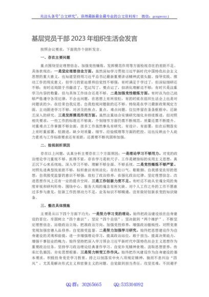 基层党员干部2023年组织生活会发言