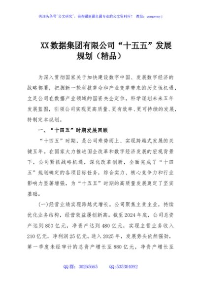 XX数据集团有限公司“十五五”发展规划（精品）