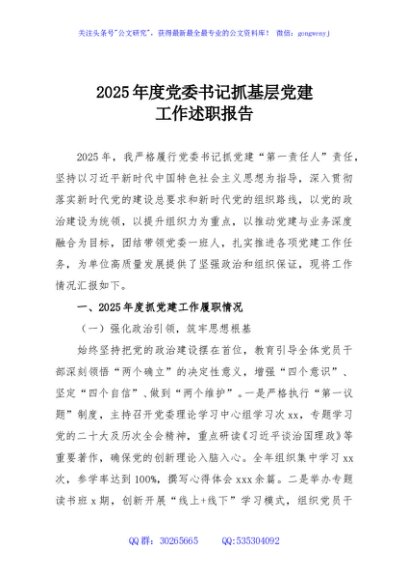 2025年度党委书记抓基层党建