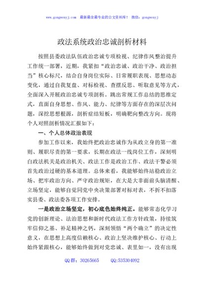 政法系统政治忠诚剖析材料