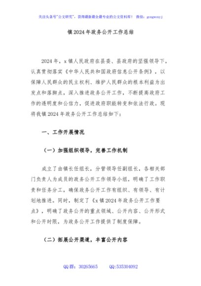 镇2024年政务公开工作总结