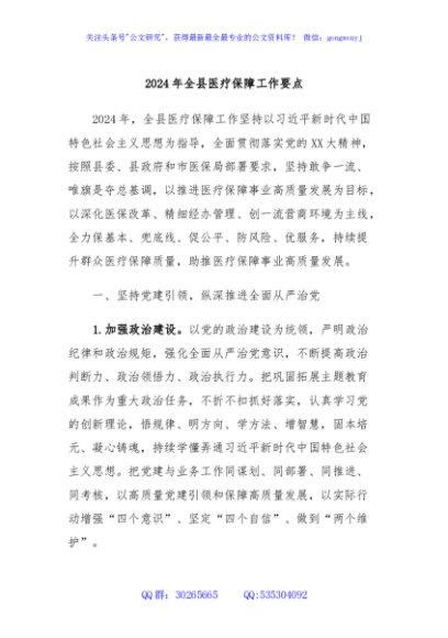 2024年全县医疗保障工作要点