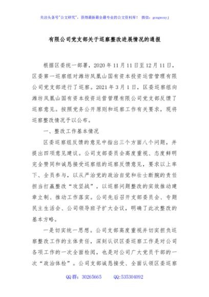 有限公司党支部关于巡察整改进展情况的通报