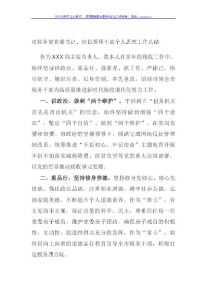 市税务局党委书记、局长领导干部个人思想工作总结