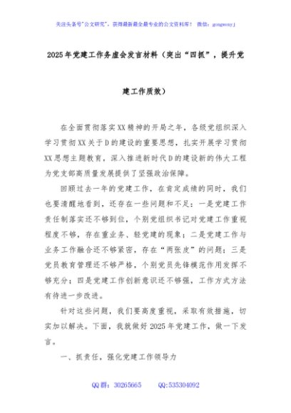2025年党建工作务虚会发言材料（突出“四抓”，提升党建工作质效）