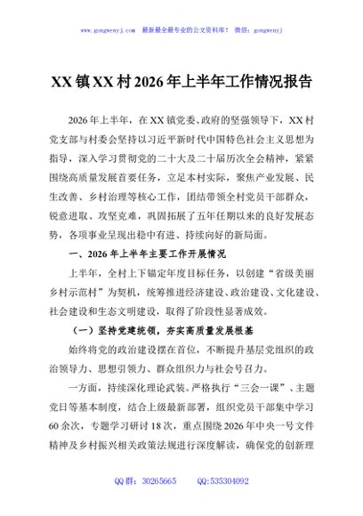 XX镇XX村2026年上半年工作情况报告