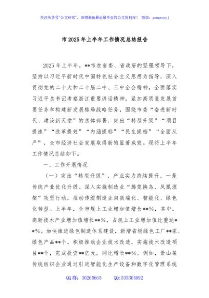 市2025年上半年工作情况总结报告