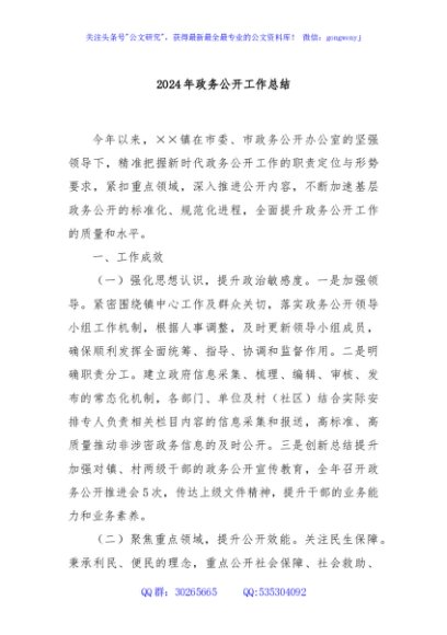 2024年政务公开工作总结
