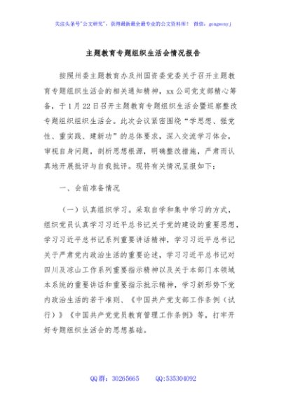 主题教育专题组织生活会情况报告