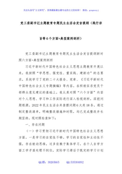  党工委副书记主题教育专题民主生活会发言提纲（践行宗旨等6个方面+典型案例剖析）