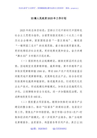XX镇人民政府2025年工作计划