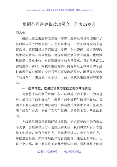 集团公司巡察整改动员会上的表态发言