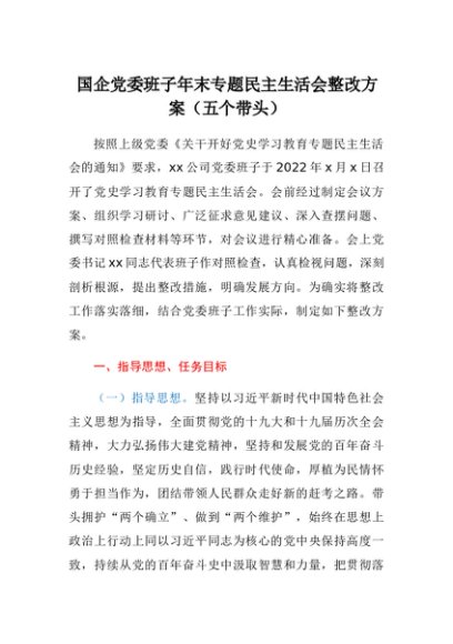 国企民主生活会整改方案（五个带头）